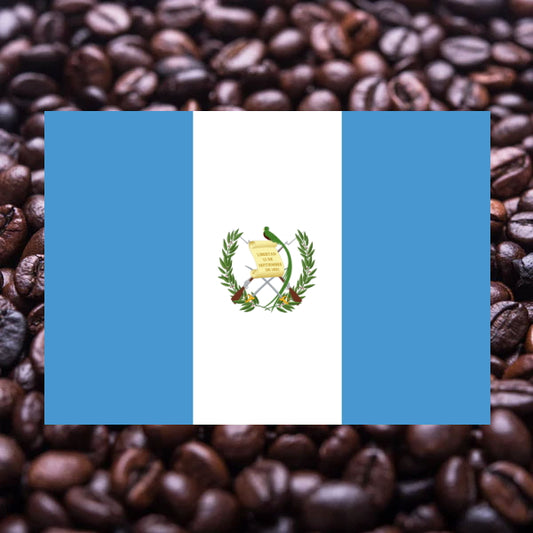 グランレイナ(豆)