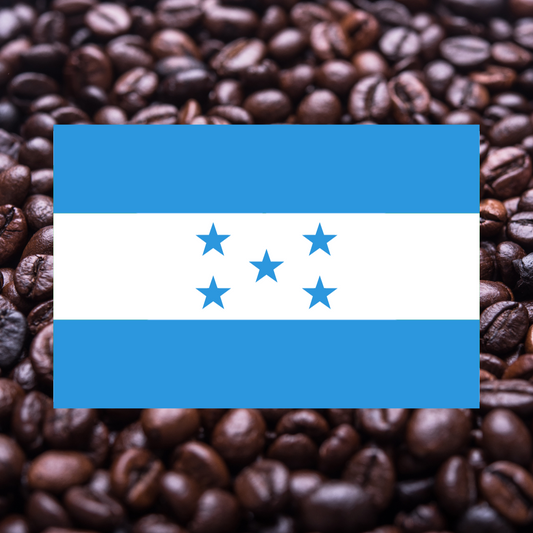 プロジェクト・ゼロ (豆)