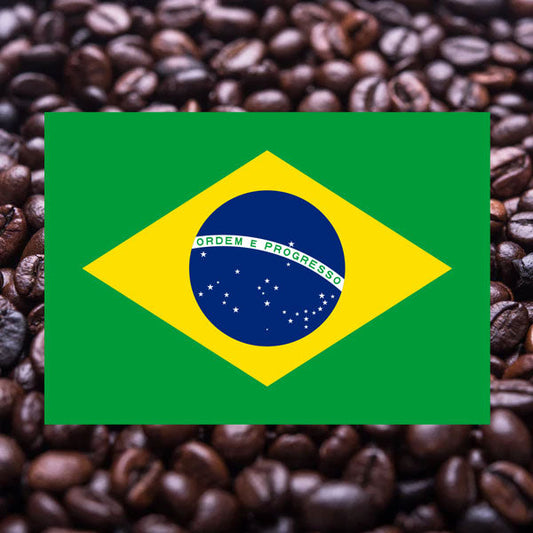 キングブルボン(豆)