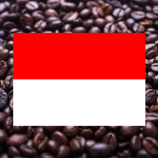 トゥルーブルー(豆)